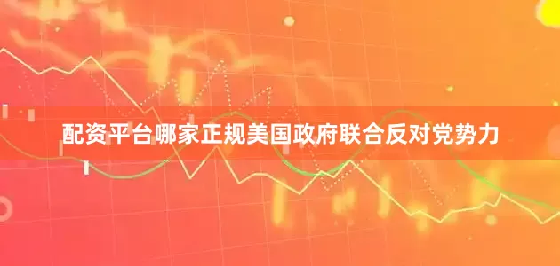 配资平台哪家正规美国政府联合反对党势力