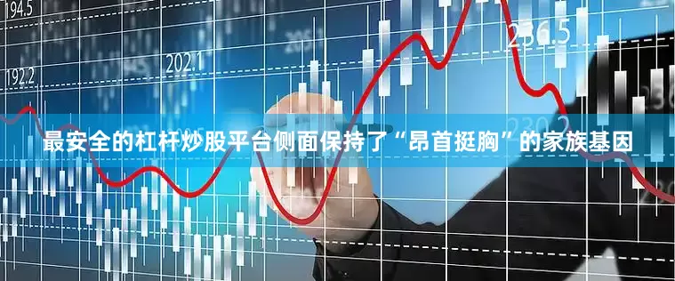 最安全的杠杆炒股平台侧面保持了“昂首挺胸”的家族基因